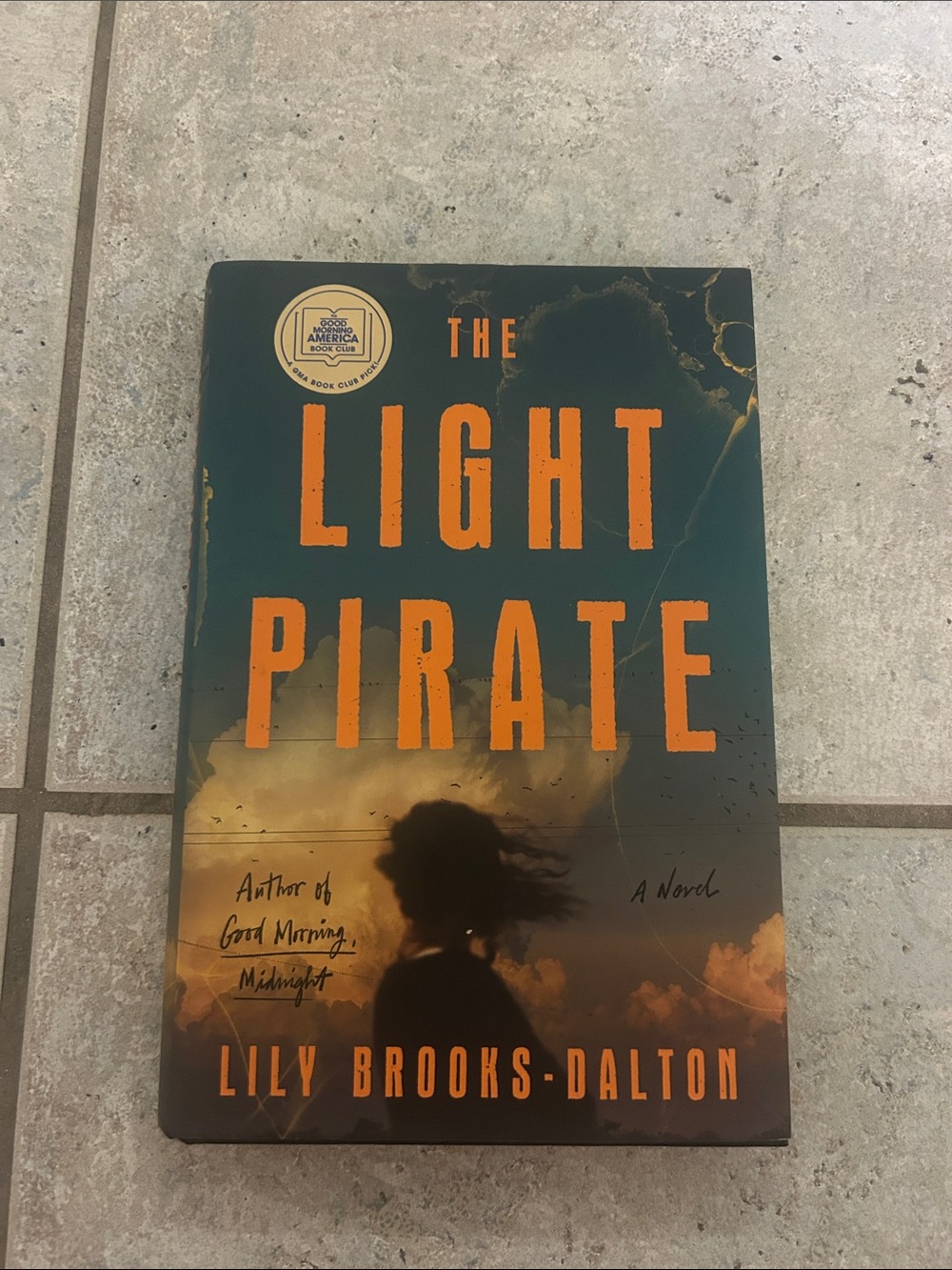 The Light Pirate - Hardcover
